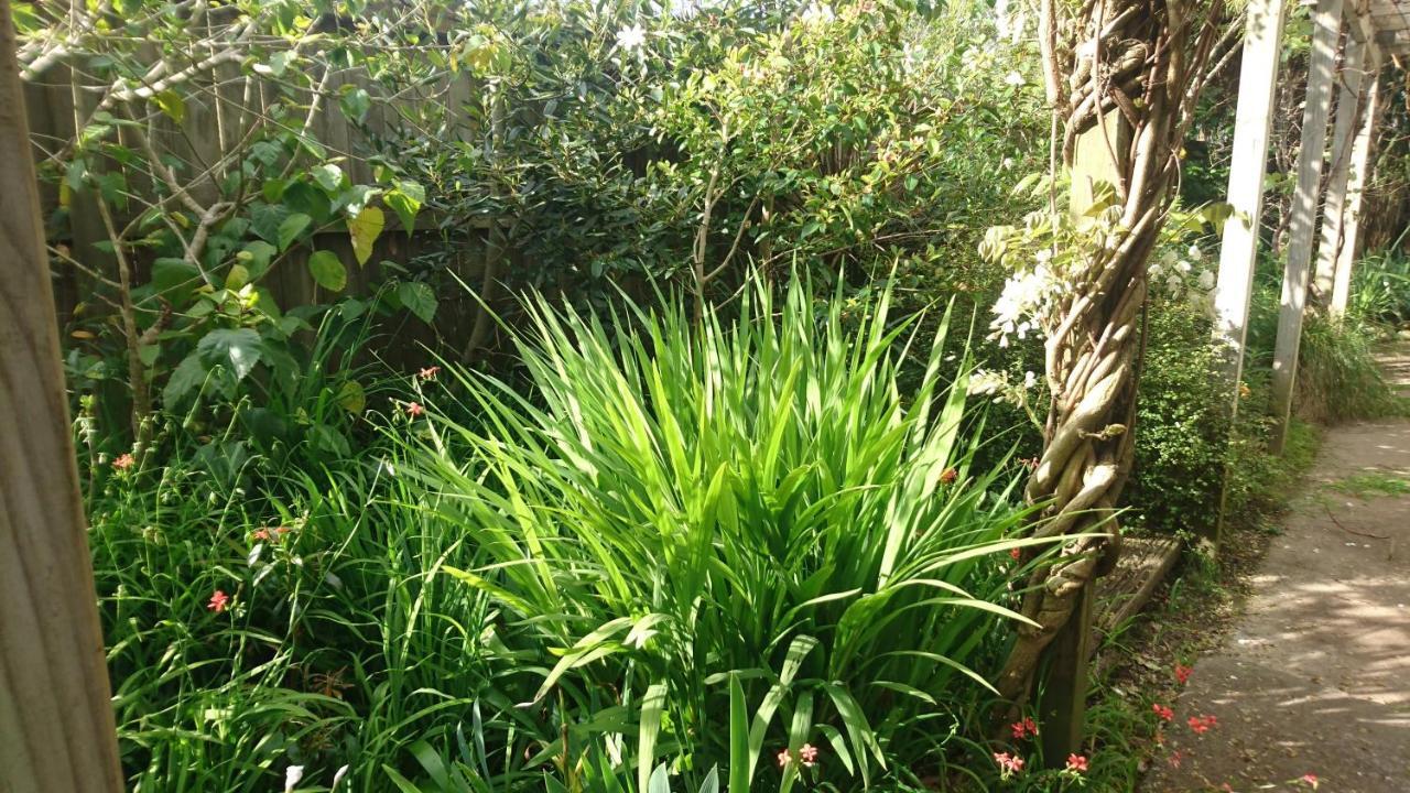 Shelly Beach Studio, Waiheke Island Όκλαντ Εξωτερικό φωτογραφία